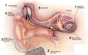 cirurgia