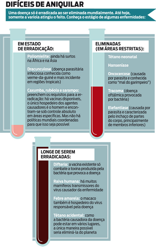 grafico1