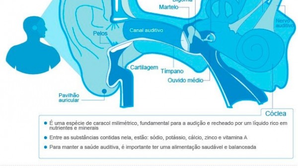 grafico1