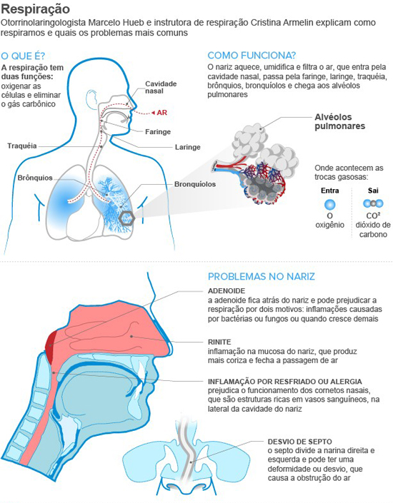 grafico8