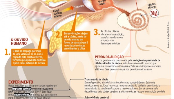 grafico